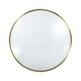 2089/DL PALE SN 079 Светильник пластик/белый/бронза LED 48Вт 3000-6000K D440 IP43 пульт ДУ LOTA BRONZE
