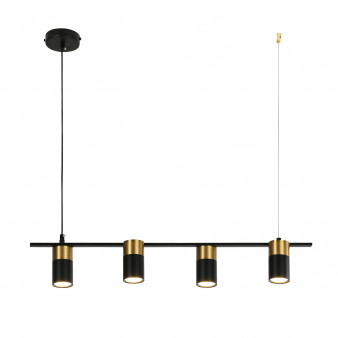 Люстра подвесная Favourite Topper 2825-4P