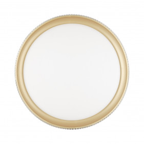 3054/EL PALE SN 034 Светильник пластик/белый/золотистый LED 72Вт 3000-6000К D490 IP43 пульт ДУ SHINY