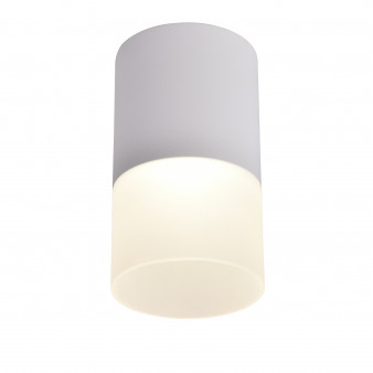 3069-1C, потолочный светильник, D64xH110, LEDx5W, 400LM, 4000K, IP20, included