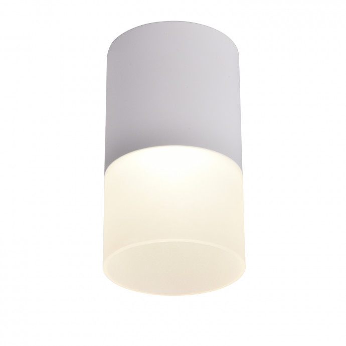 3069-1C, потолочный светильник, D64xH110, LEDx5W, 400LM, 4000K, IP20, included