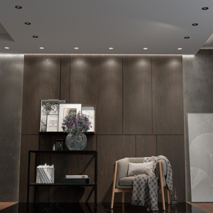 358909 SPOT NT22 229 черный Встраиваемый светодиодный светильник с переключателем цветовой температуры IP20 LED 3000К4000К6000К 12W 220V LANG