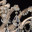 Потолочная люстра хрустальная CHIARO Луиза 383010106