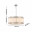4010-3PC, подвесная люстра, L600xW250xH395/1395, 3xE14x40W