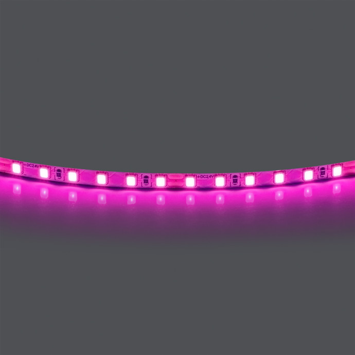 Лента цветного свечения 24V, розовый Lightstar Lightstar 420512