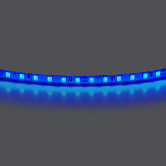 Лента цветного свечения 24V, синий Lightstar Lightstar 420515