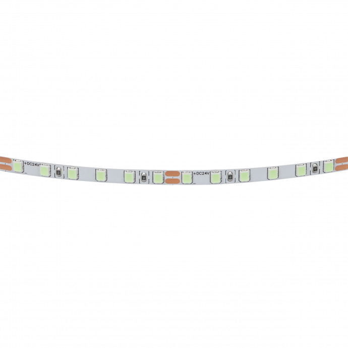 Лента цветного свечения 24V, голубой Lightstar Lightstar 420516