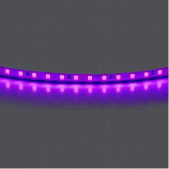 Лента цветного свечения 24V, фиолетовый Lightstar Lightstar 420518