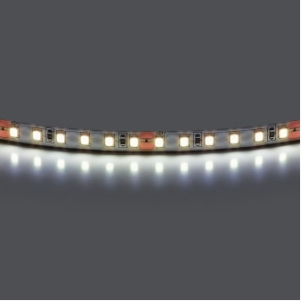 Лента холодного белого свечения 24V Lightstar Lightstar 420805