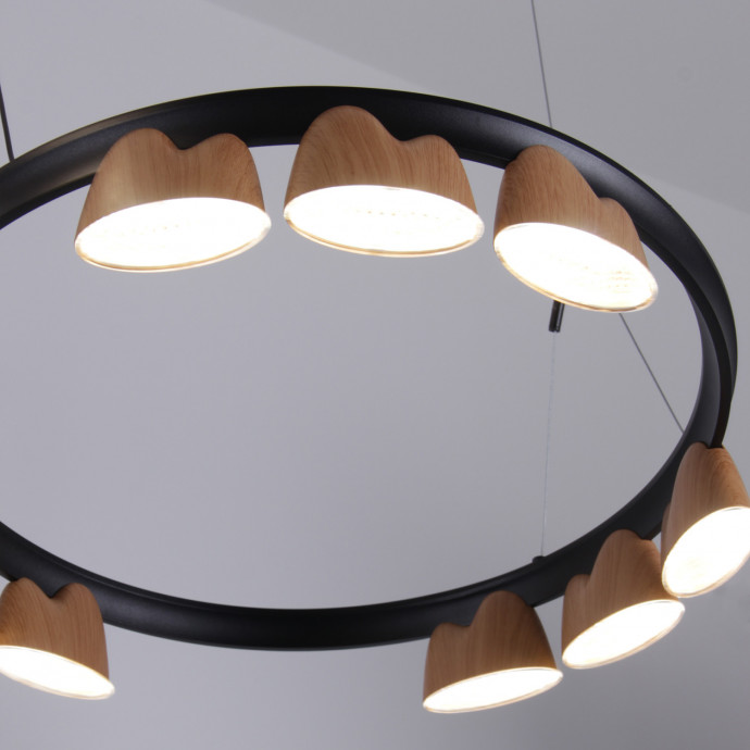 4266-21P, подвесная люстра, L875xW600xH400/1610, LEDx95W, 4085LM, 4000K, included