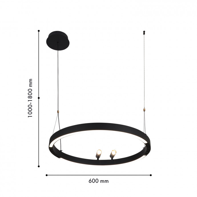 4474-1P, подвесная люстра, D600xH1000/1800, LEDx58W + 2xLEDx3W, 1860LM, 3000-6500K, included, remote control