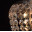 Подвесной светильник хрустальный CHIARO Бриз 464017601