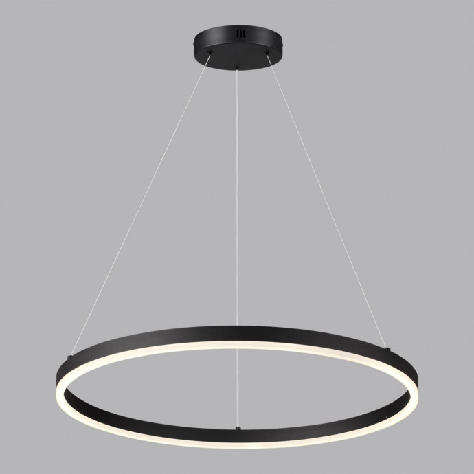 Светильник подвесной Lumion ECHO 6530/50L