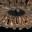 Светильник Regenbogen Борнео 679010803