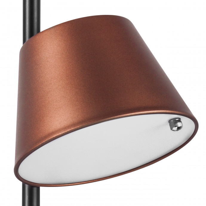 Люстра потолочная Cappe Lightstar 719223