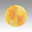 Настенно-потолочный светильник Sonex SUN 7726/AL