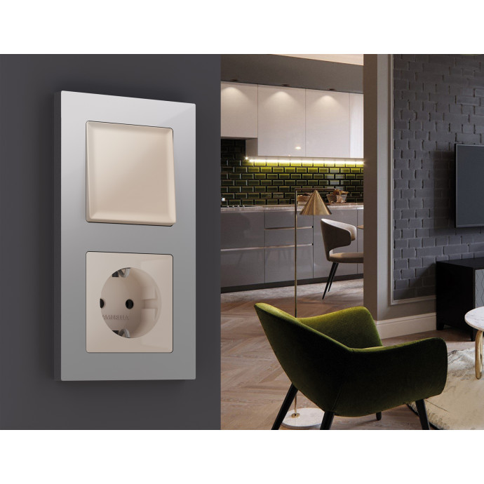 AF220401 Рамка ALFA Techno (Серебро глянец) 1-ая