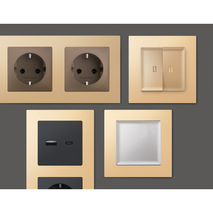 AF220604 Рамка ALFA Techno (Шампань) 4-ая