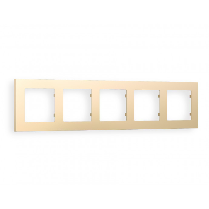 AF220605 Рамка ALFA Techno (Шампань) 5-ая