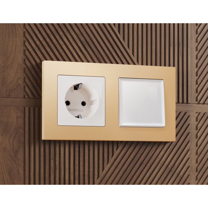 AF220605 Рамка ALFA Techno (Шампань) 5-ая