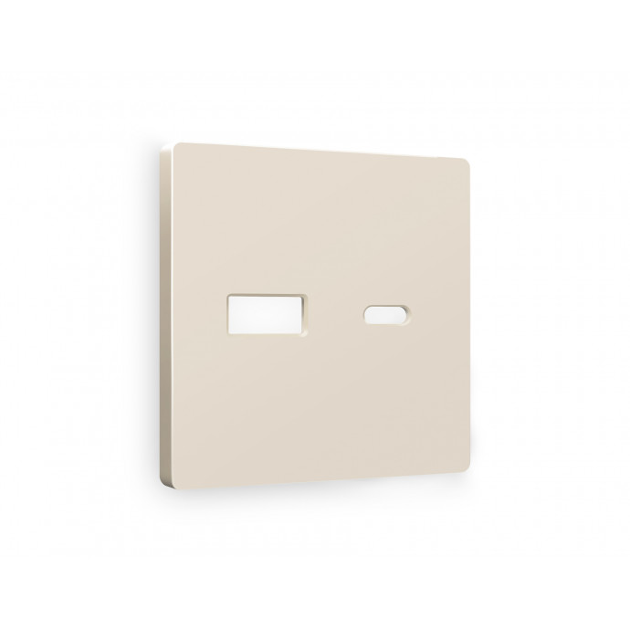 AP3310 Лицевая панель ALFA (Бежевый матовый) для розетки 2USB A+C QUANT