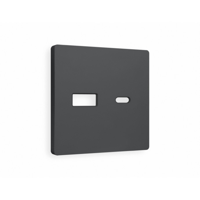 AP9110 Лицевая панель ALFA (Графит Мягкое касание) для розетки 2USB тип A+C QUANT