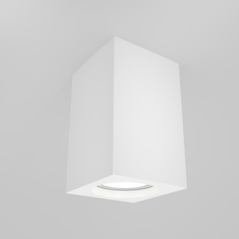 Потолочный светильник Maytoni Ceiling & Wall C011CL-01W