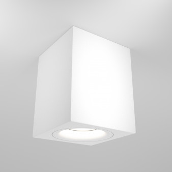Потолочный светильник Maytoni Ceiling & Wall C013CL-01W