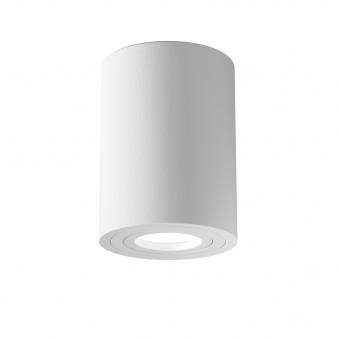 Потолочный светильник Maytoni Ceiling & Wall C016CL-01W