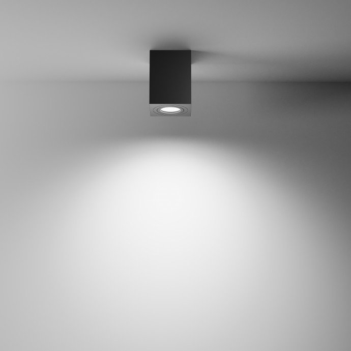Потолочный светильник Maytoni Ceiling & Wall C017CL-01B
