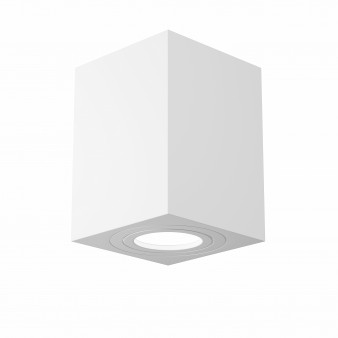 Потолочный светильник Maytoni Ceiling & Wall C017CL-01W