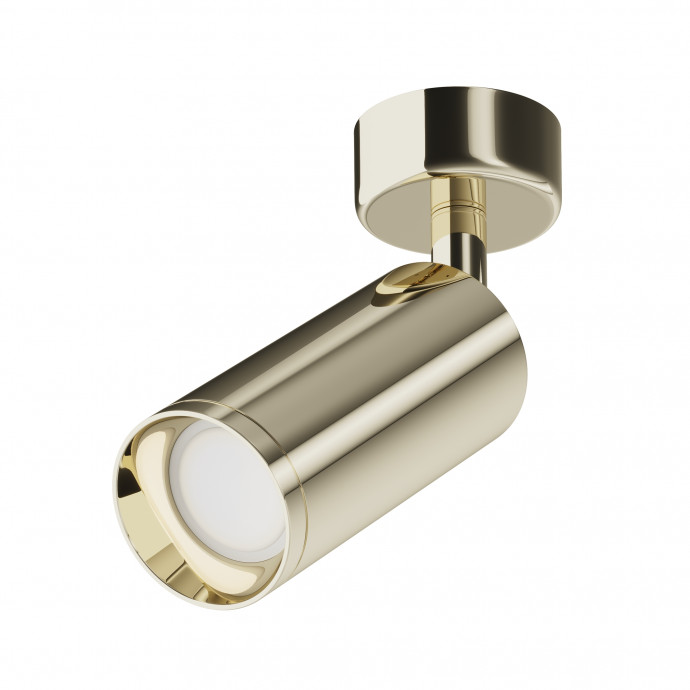 Потолочный светильник Maytoni Ceiling & Wall C017CW-01G