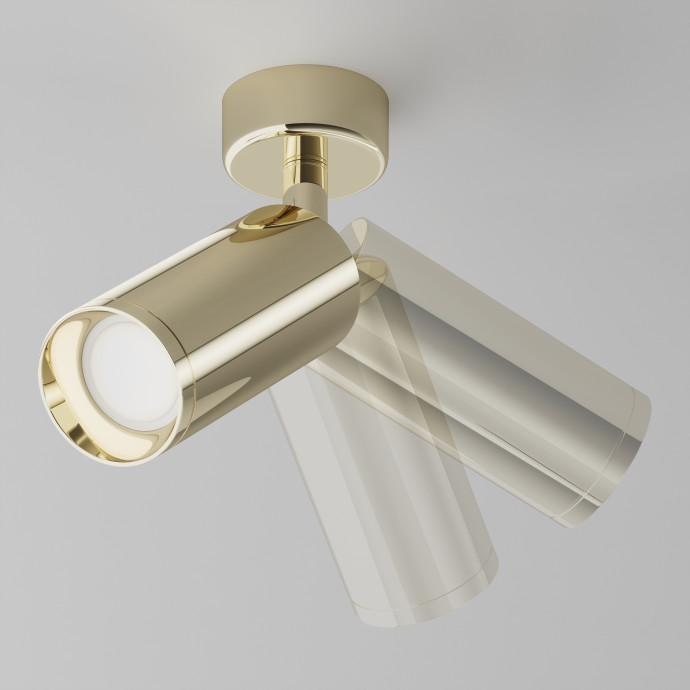 Потолочный светильник Maytoni Ceiling & Wall C017CW-01G