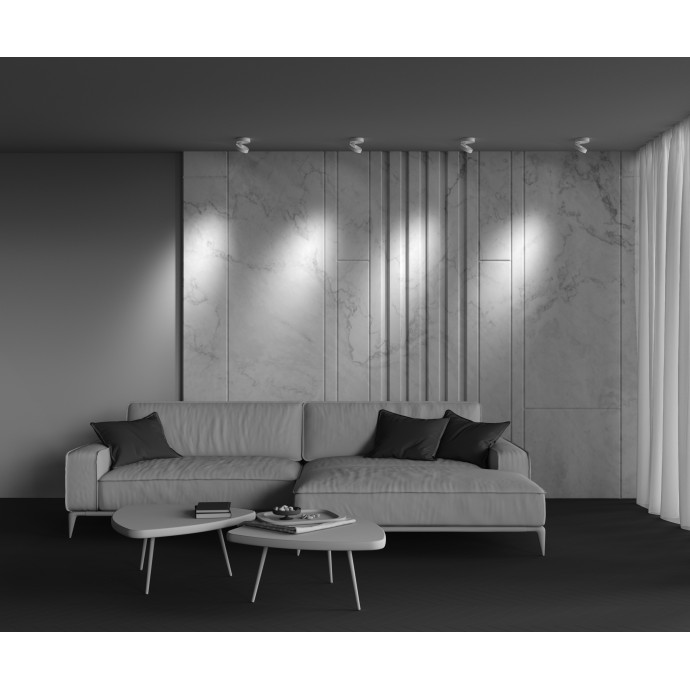 Потолочный светильник Maytoni Ceiling & Wall C022CL-L12W