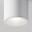 Потолочный светильник Maytoni Ceiling & Wall C029CL-01W