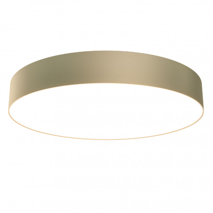 Потолочный светильник Maytoni Ceiling & Wall C032CL-L48MG4K