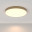 Потолочный светильник Maytoni Ceiling & Wall C032CL-L96MG3K