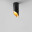 Потолочный светильник Maytoni Ceiling & Wall C044CL-01-15GU10-B