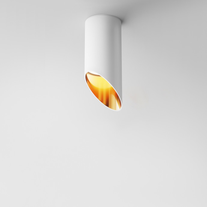 Потолочный светильник Maytoni Ceiling & Wall C044CL-01-15GU10-W