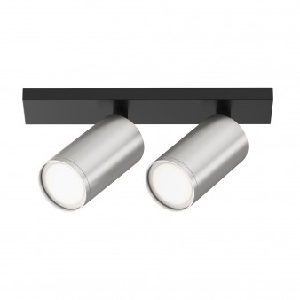 Потолочный светильник Maytoni Ceiling & Wall C051CL-U-02BS