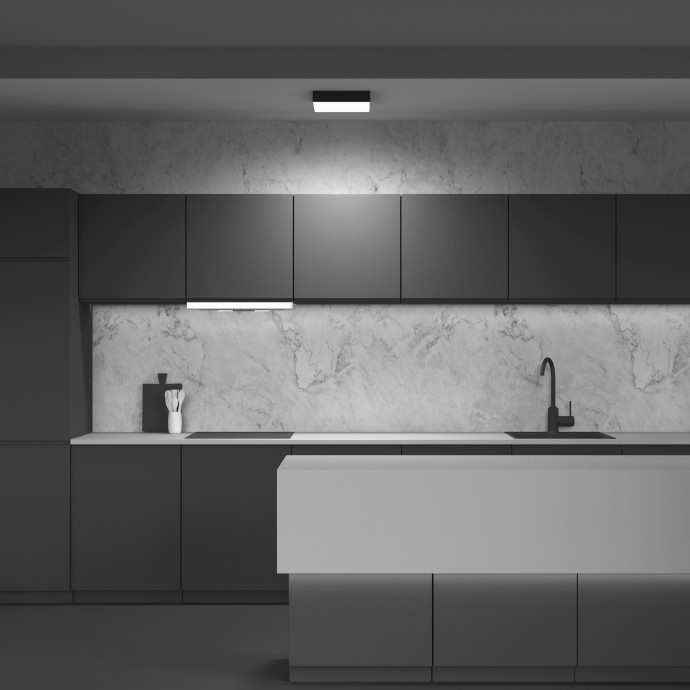 Потолочный светильник Maytoni Ceiling & Wall C067CL-L40B4K