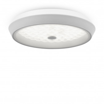 Потолочный светильник Freya FR10012CL-L24W