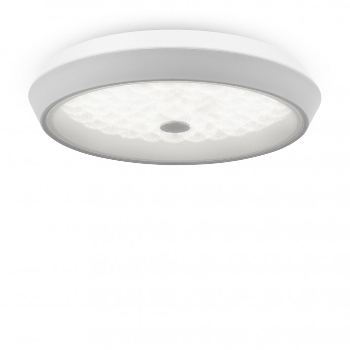 Потолочный светильник Freya FR10012CL-L24W