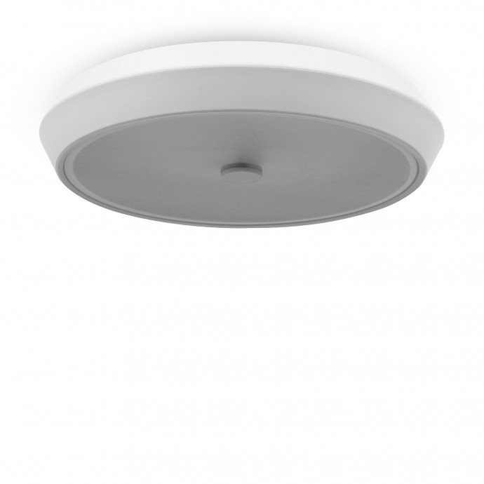 Потолочный светильник Freya FR10012CL-L24W