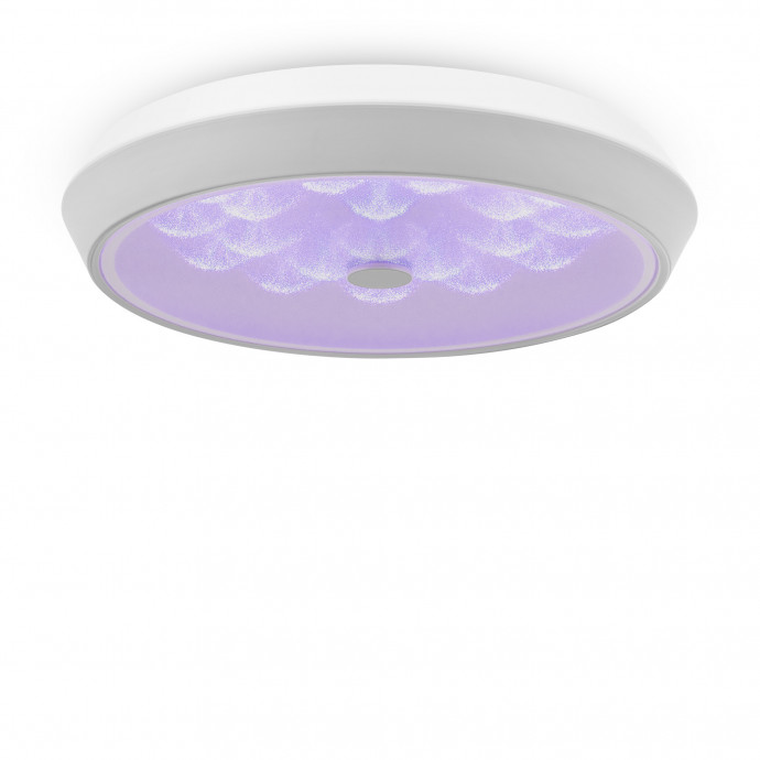 Потолочный светильник Freya FR10012CL-L24W