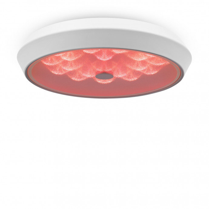 Потолочный светильник Freya FR10012CL-L24W