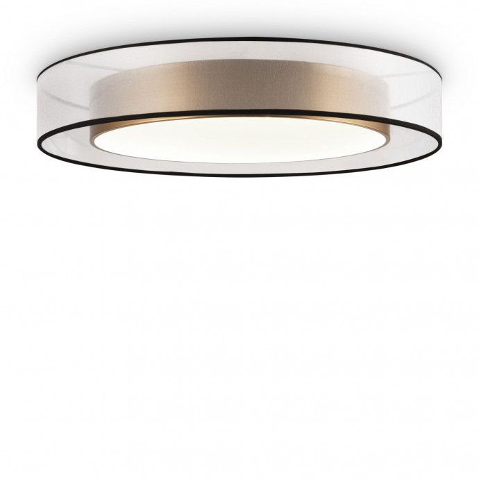 Потолочный светильник Freya FR6005CL-L48G