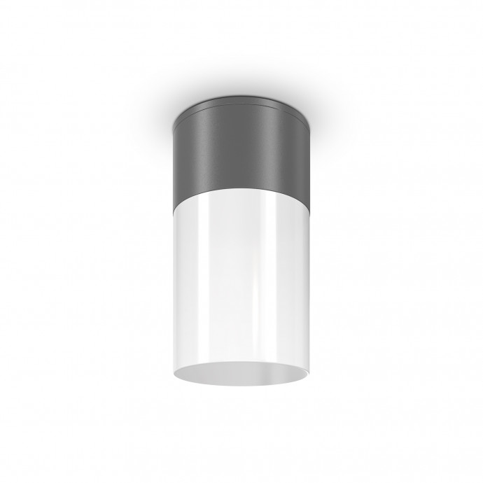 Потолочный светильник Outdoor O418CL-01GR