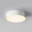 Уличный светильник Maytoni Outdoor O431CL-L30W3K