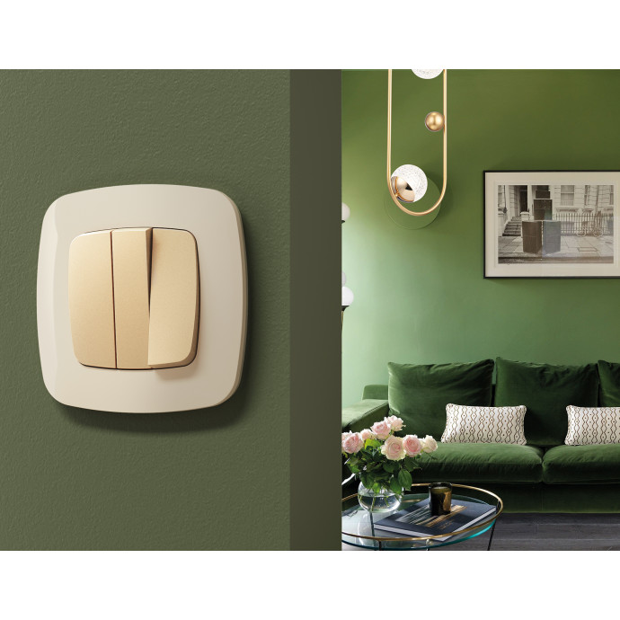 OF140305 Рамка OMEGA Ecta (Бежевый глянец) 5-ая